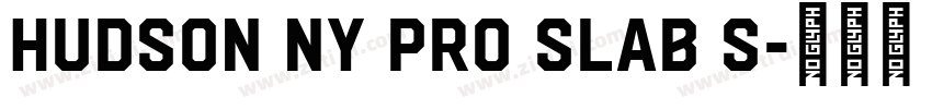 Hudson NY Pro Slab S字体转换